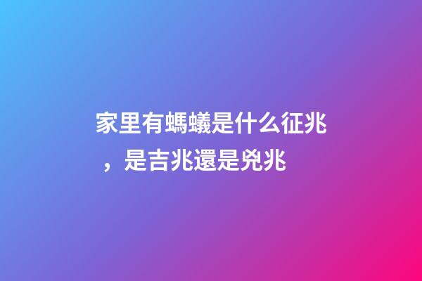 家里有螞蟻是什么征兆，是吉兆還是兇兆